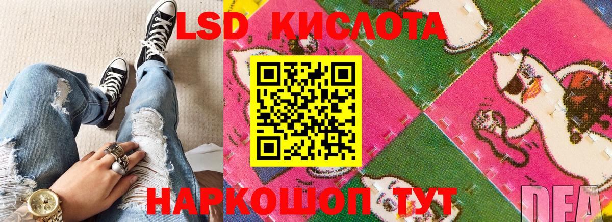 Ярославль  Наркотические марки 1500мкг  Вход с VPN  Наркотические марки 1500мкг 
