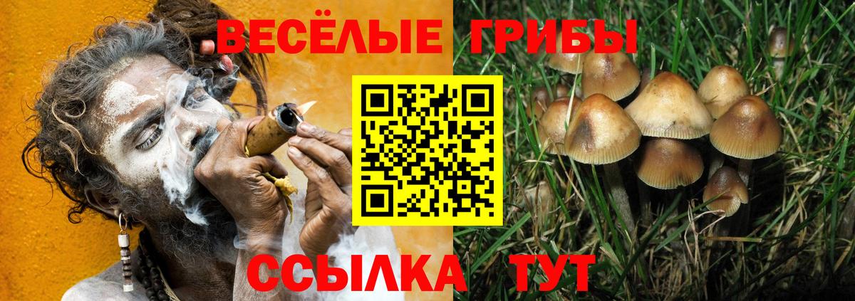 Галлюциногенные грибы мицелий  Вход с VPN  Ярославль 