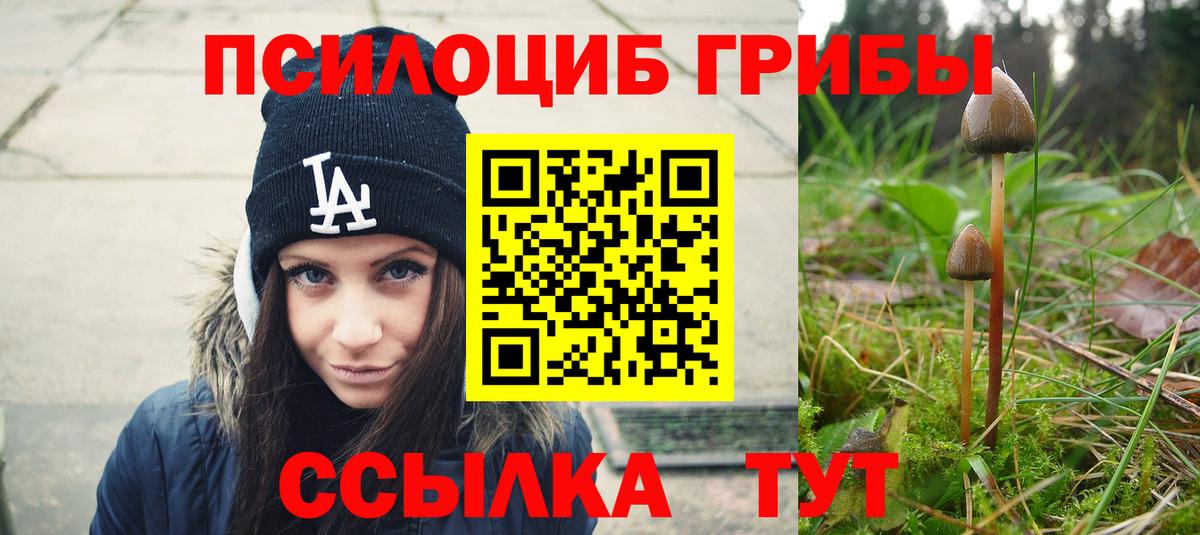 Галлюциногенные грибы GOLDEN TEACHER Ярославль